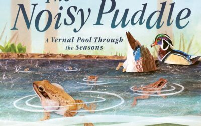 Book Review: The Noisy Puddle
