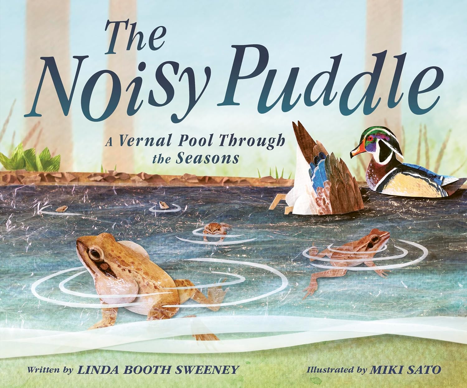 The Noisy Puddle by Linda Booth Sweeney and Miki Sato